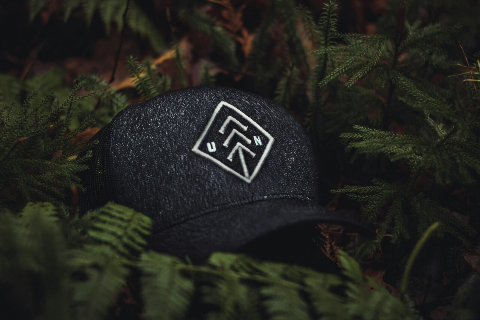 Close-up of a dark baseball cap with an embroidered design nestled among green ferns, creating a nature-themed concept.